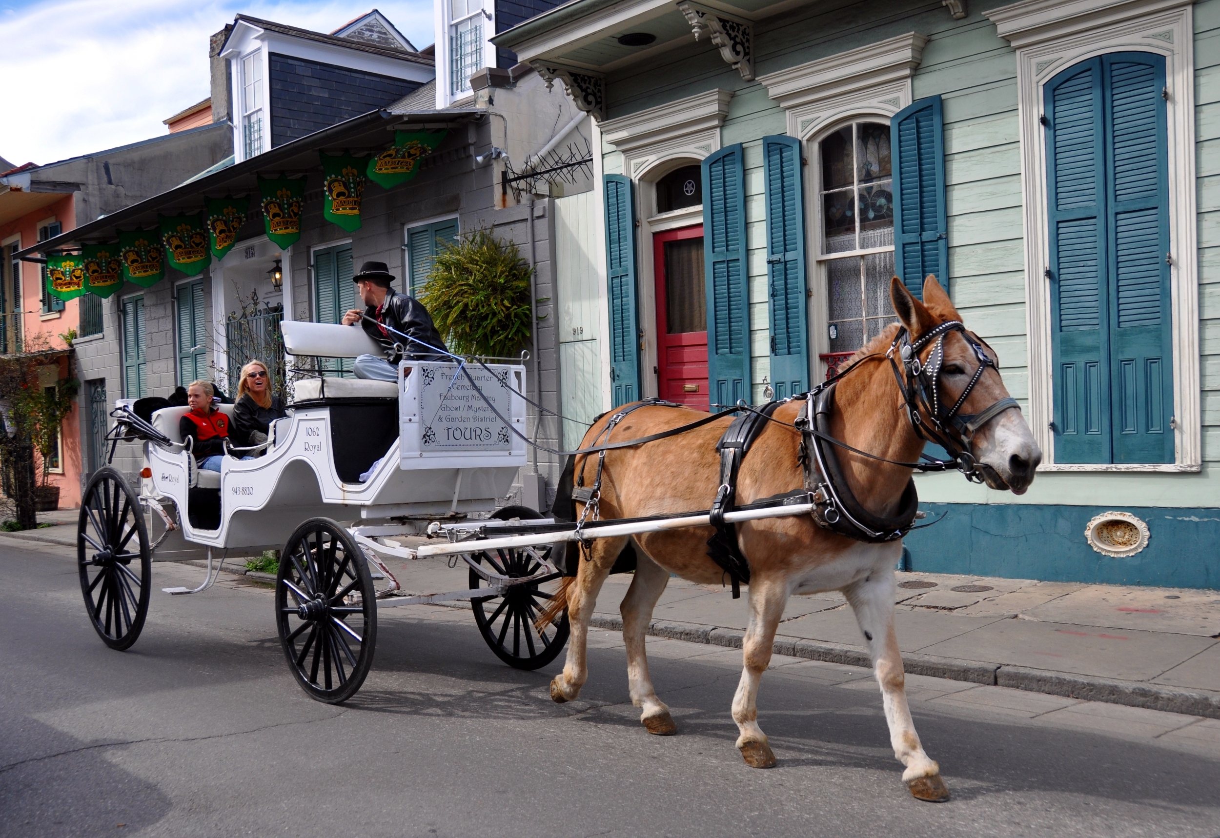 A horse cart in the city of New Orleans