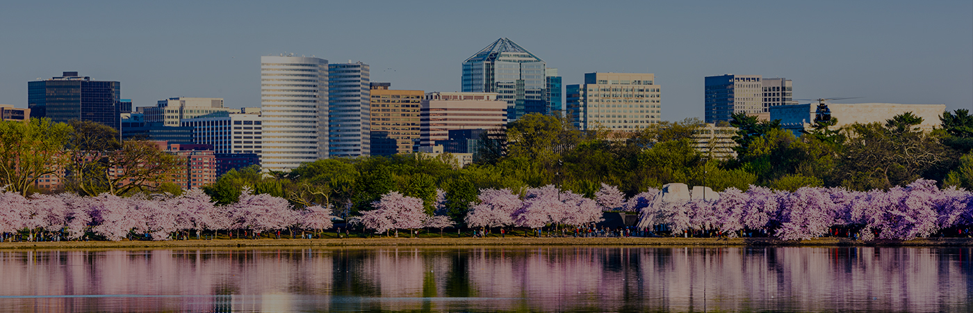 A beautiful view of a city boundary with pink trees