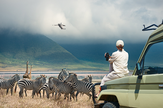 a woman watching the Zebra and a bird
