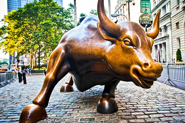A beautiful bull monument in the city of New York