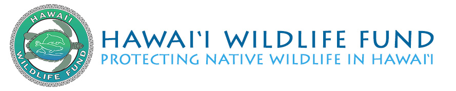 hawaii-wildlife-fund