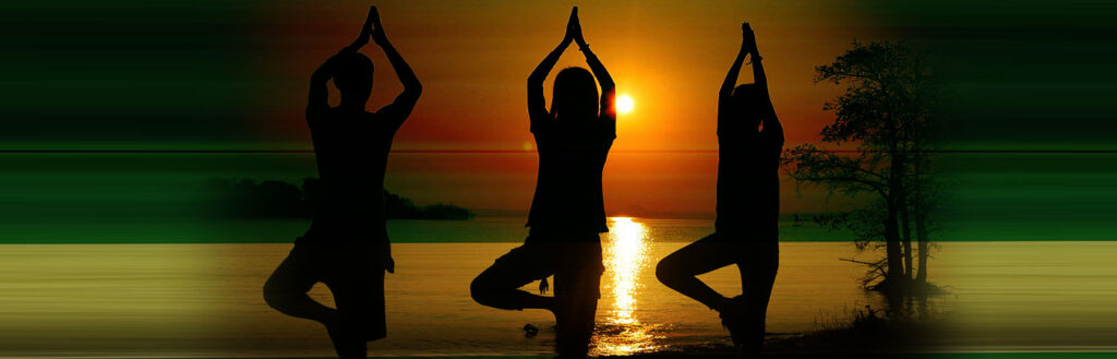 Luxury Wellness Retreats & Wellness Travel