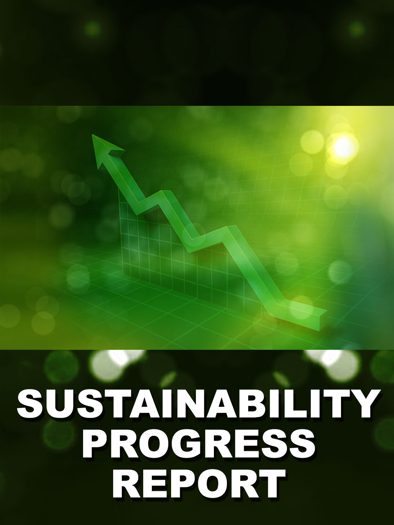 Sustainability Progress Report