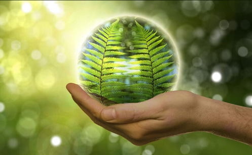 Sustainability Policy