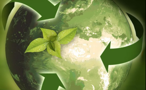 Sustainable Practices