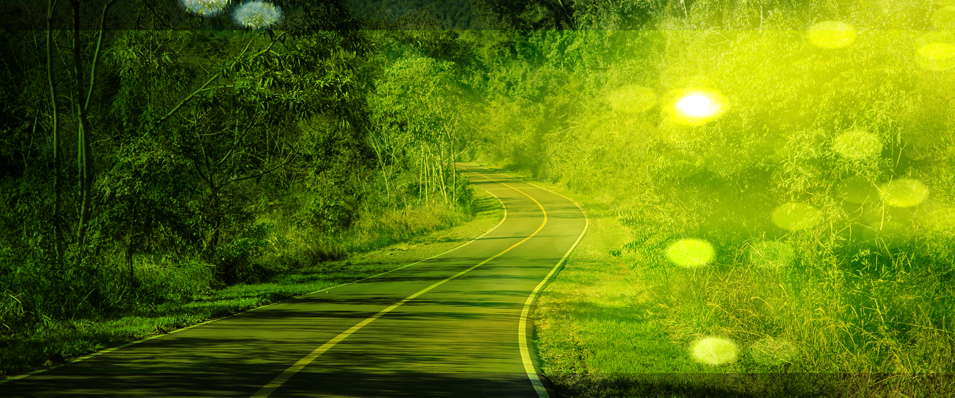 Travelife-banner-01